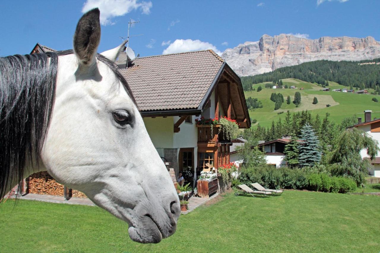 Apartmán Aria D' Pre Badia  Exteriér fotografie